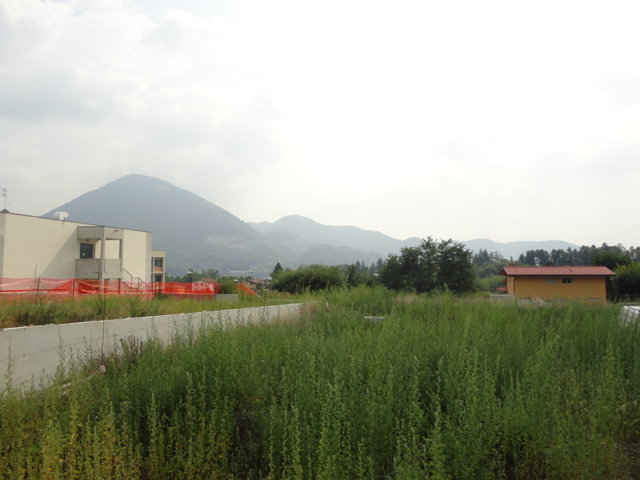 Vedi dettaglio